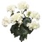 White Geranium Bush: 18-Inch, 7 Silk Flowers & 32 Leaves by Floral Home®